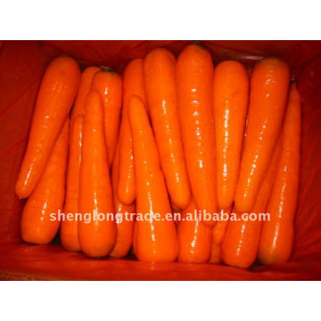 2011 china fresh red carrot low price